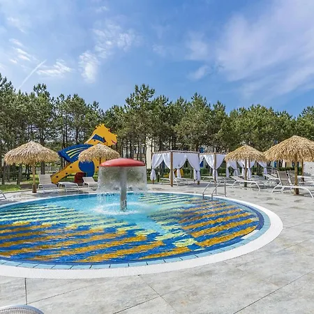 Summertime 비비오네